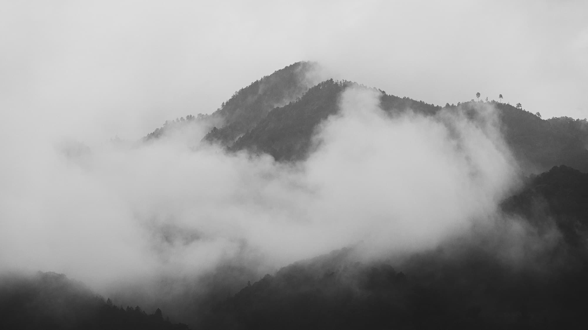 The story of nomanoma